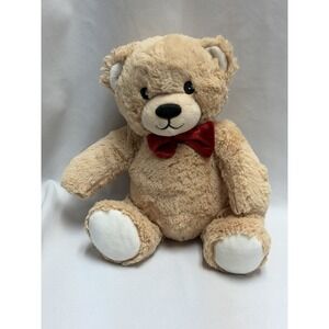 EDI Bear Plush Bear Stuffed Animal Edible Arrangements  9 in 2017 Advertising